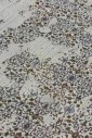 Ковер Vintage Silky ag97a p.l.beige-p.l.beige